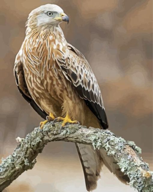 Red Kite On A Branch diamond painting