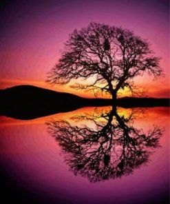 Reflection Tree By Water At Sunset diamond painting