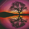 Reflection Tree By Water At Sunset diamond painting