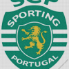 Sporting Logo diamond painting