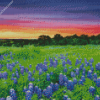 Texas Hill Country Sunset Landscape diamond painting