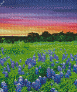 Texas Hill Country Sunset Landscape diamond painting