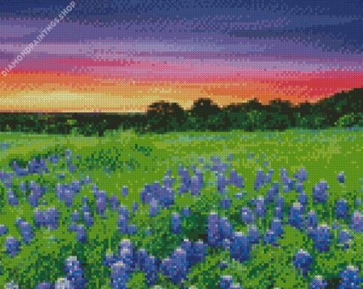 Texas Hill Country Sunset Landscape diamond painting