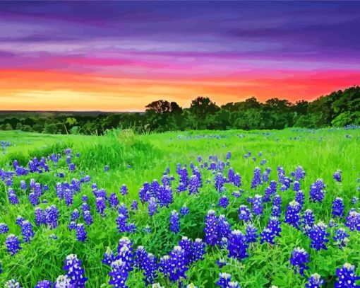 Texas Hill Country Sunset Landscape diamond painting