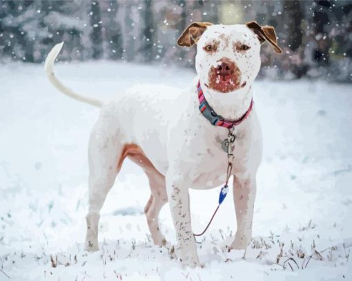 White Staffy Dog In Snow diamond painting