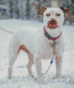 White Staffy Dog In Snow diamond painting