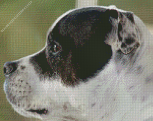 White Staffy Dog Side Face diamond painting