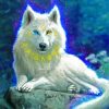White Wolf diamond painting