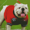 Adorable Georgia Bulldogs diamond painting