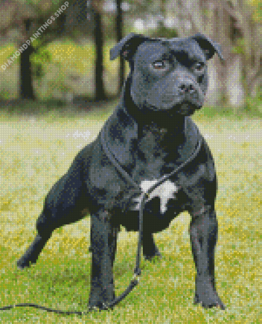 Aesthetic Black Staffy diamond painting