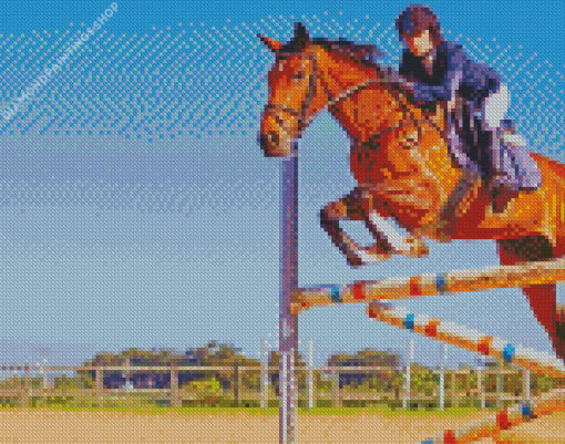 Aesthetic Horse Jump diamond painting