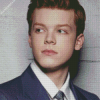 Aesthetic Cameron Monaghan diamond painting