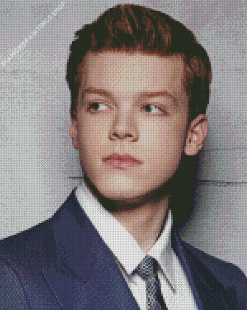 Aesthetic Cameron Monaghan diamond painting