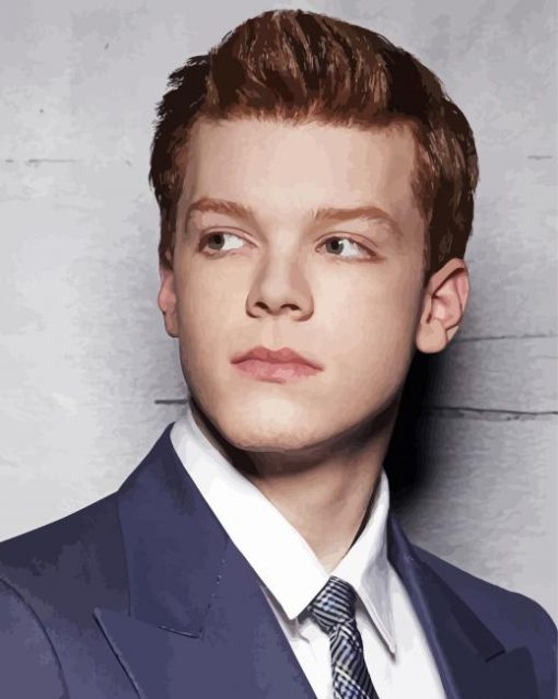 Aesthetic Cameron Monaghan diamond painting