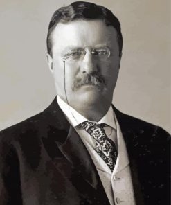 Black And White Theodore Roosevelt diamond painting