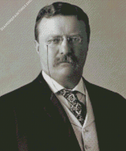 Black And White Theodore Roosevelt diamond painting