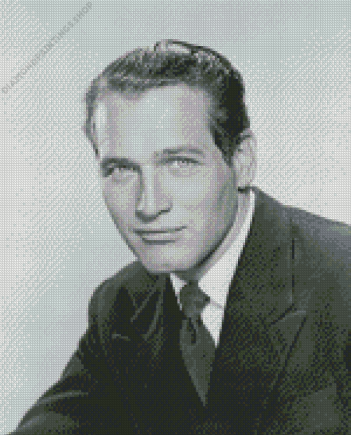 Black And White Paul Newman diamond painting