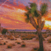 California Desert Sunset diamond painting