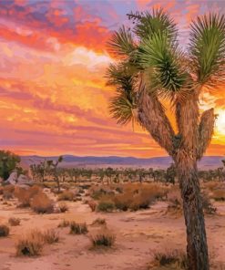 California Desert Sunset diamond painting