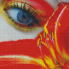 Eye And Red Lily diamond painting
