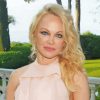 Gorgeous Actress Pamela Anderson diamond painting