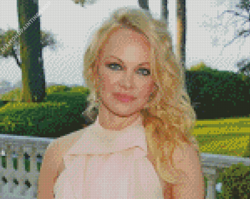 Gorgeous Actress Pamela Anderson diamond painting