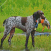 Hunter German Shorthaired Dog diamond painting