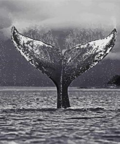 Monochrome Whale Tail diamond painting