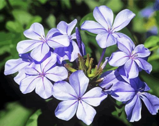 Plumbago Flower diamond painting