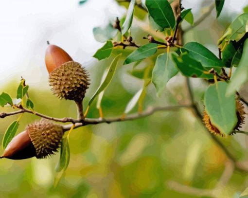 Acorn Tree diamond painting