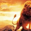 Animal Lion Roaring diamond painting
