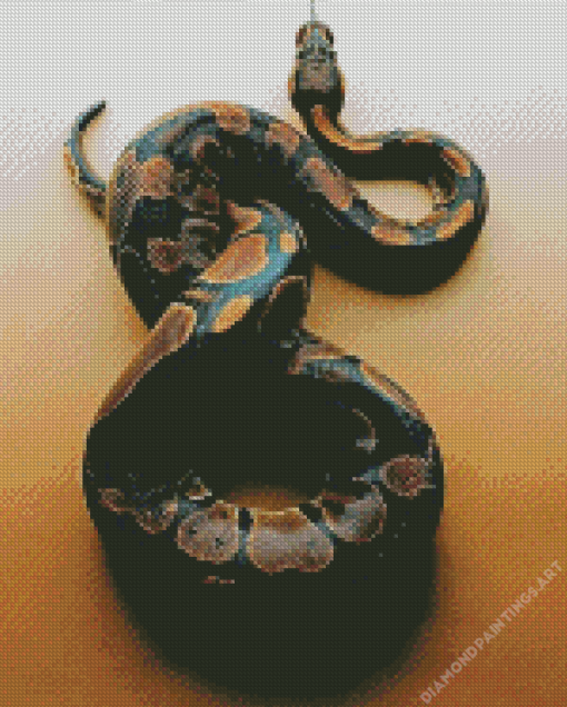 Ball Python Snake diamond painting