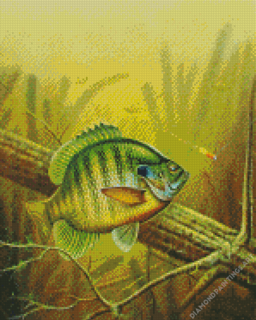 Bluegill Art diamond painting