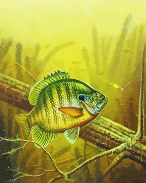 Bluegill Art diamond painting