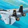 F 14 Tomcat Aircraft diamond painting