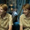 Fred Et George Weasley Characters diamond painting
