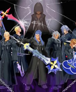 Kingdom Hearts Organization 13 Characters diamond painting