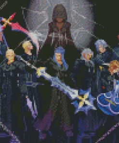 Kingdom Hearts Organization 13 Characters diamond painting