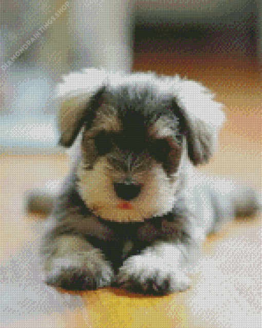 Miniature Schnauzer Puppy diamond painting