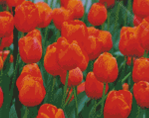 Orange Tulips diamond painting