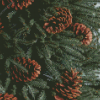 Pine Cones diamond painting