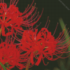 Red Spider Lily diamond painting