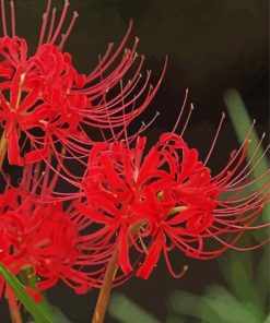 Red Spider Lily diamond painting