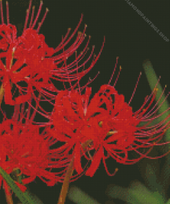 Red Spider Lily diamond painting