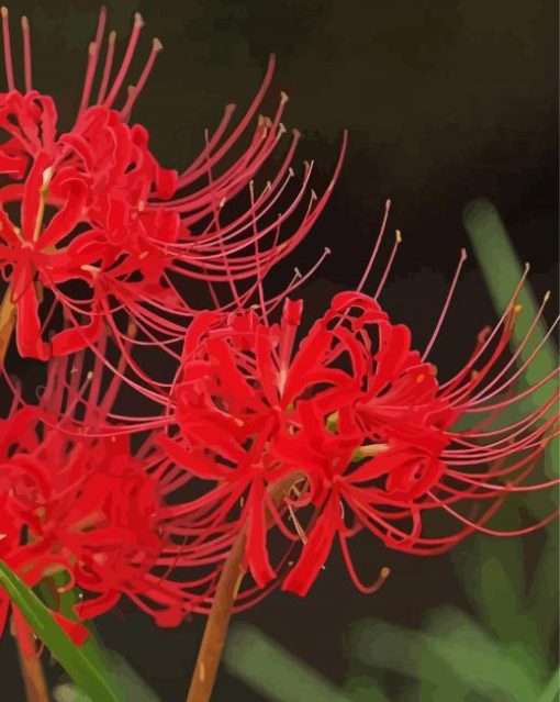 Red Spider Lily diamond painting