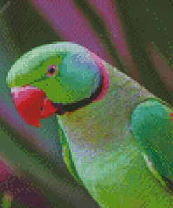 Ringneck Parrot diamond painting