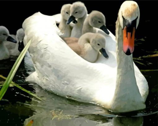 Swans In Water diamond painting