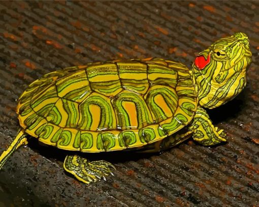 The Red Eared Slider diamond painting
