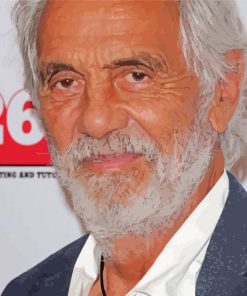 Tommy Chong Actor diamond painting