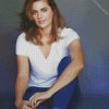 Actress Stana Katic diamond painting